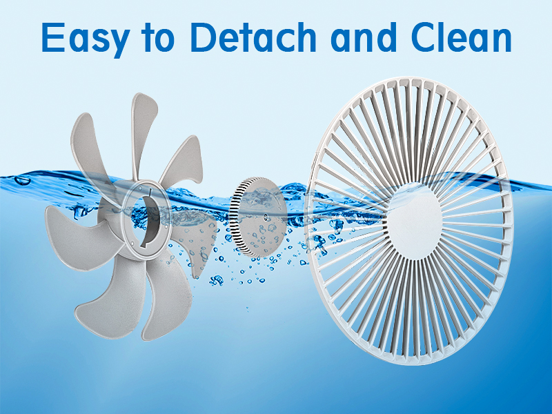 Detachable Design Easy to Clean