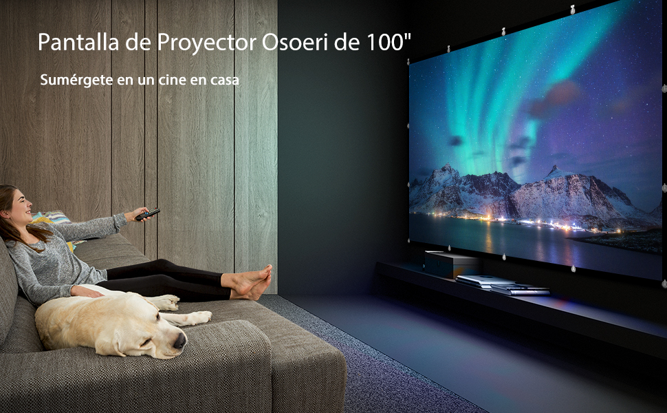 Pantalla Proyector